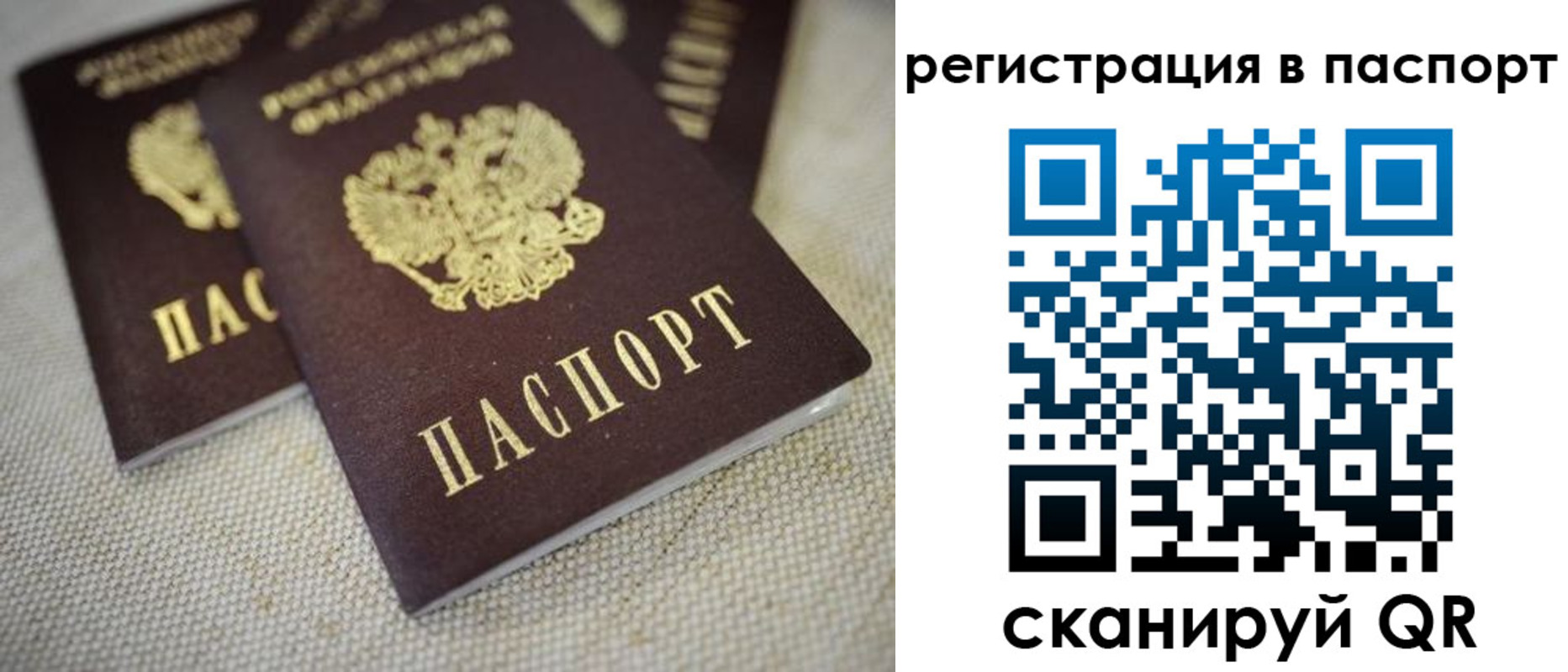 прописка гарантия в Краснознаменске